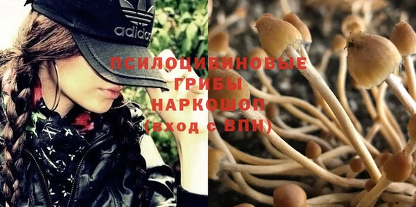 хмурый Верхний Тагил