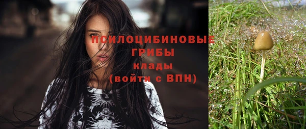 дурь Верея