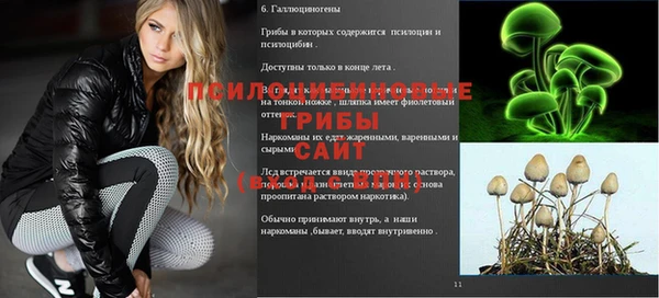 дурь Верея
